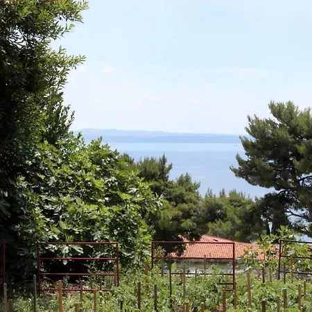 Apartament Buki ****