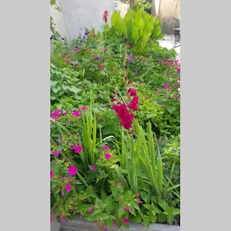 Appartement Buki **** Split